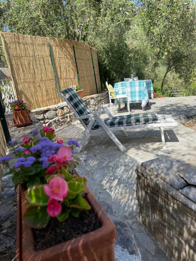Piccola Navetta Leilighet Diano San Pietro Eksteriør bilde